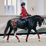 ЭЛЕМЕНТЫ FEI ПОНИ ЕЗД