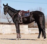 МАРШРУТЫ 120, НАПРЫГАН ДО 145