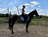 АХАЛТЕКИНКА ВЫСОКАЯ