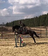 МАРШРУТЫ 80-90 • АКТИВНАЯ