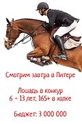 Смотрим завтра в Питере !