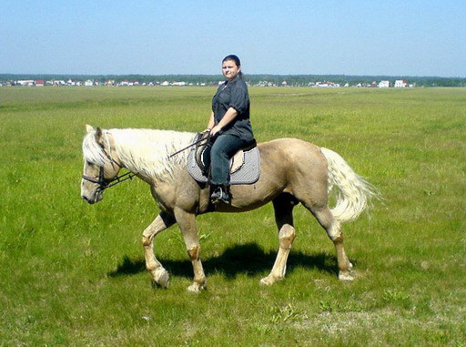 желтенький диванчик