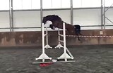 В спорт или матки 