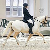 УЭЛЬСКИЙ ПОНИ 132 СМ В ХОЛКЕ