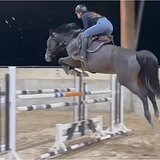 КОБЫЛА | ЛИНИЯ DOMINATOR