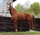 МЕРИН РВП СРОЧНО