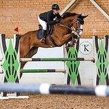 МЕРИН НА МАРШРУТЫ 120 СМ