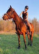 Кобыла хобби-класса