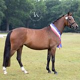 ВИЦЕ ЧЕМПИОНКА ГЕРМАНИИ