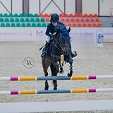 КОБЫЛА В КОНКУР И ВЫЕЗДКУ