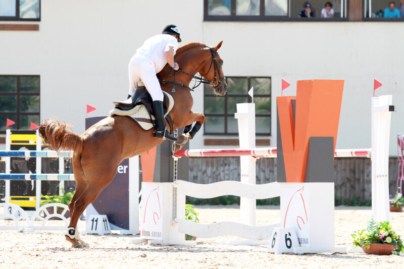 МИКА ВАН Д'ЭБДИХОВЕ-12 и Вощакин Дмитрий