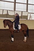 Спортивный пони-класс