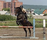УНИВЕРСАЛЬНЫЙ МЕРИН