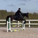 СТАРТОВЫЙ ОПЫТ ДО 110 СМ 