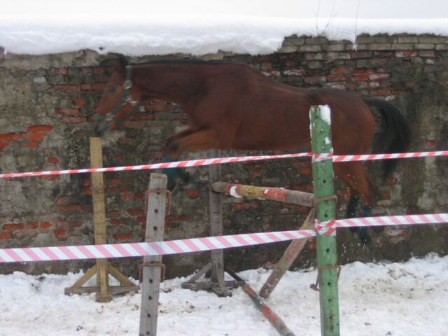 Напрыгивание. Извиняюсь за качество