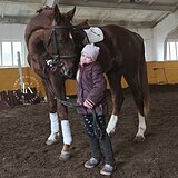 ГАННОВЕРСКИЙ ЖЕРЕБЕЦ 5 ЛЕТ 