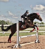 ИМПОРТНАЯ В МАТКИ • СРОЧНО