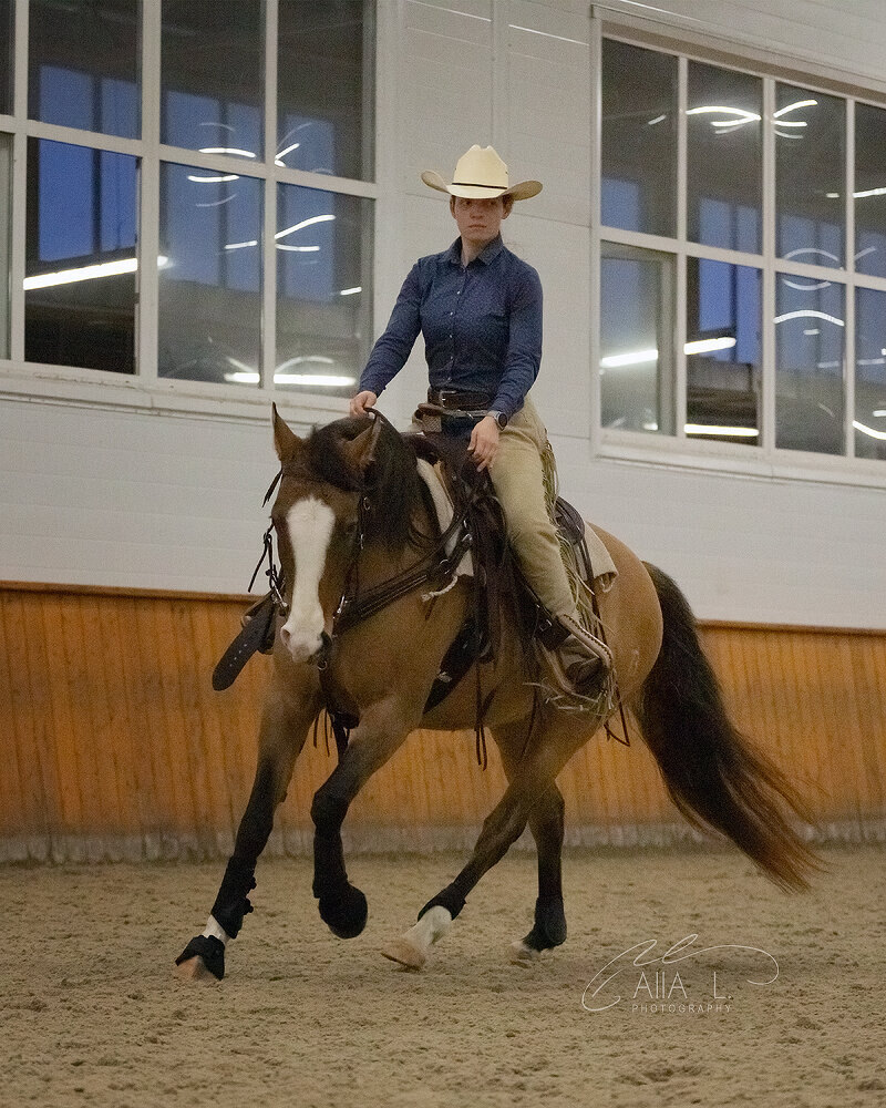 Дария Бойцова и Заветная Мечта (буденновской породы гнедо-саврасой масти) Заводчик Татьяна Зубкова 