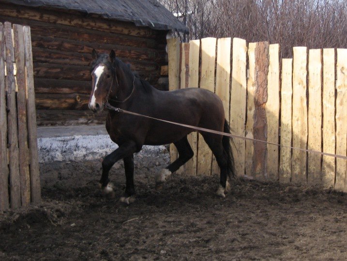 учимся бегать на корде