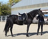 КРОСС-ФРИЗ ПОД РЕБЕНКА