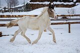 Кросс-тинкер 1137