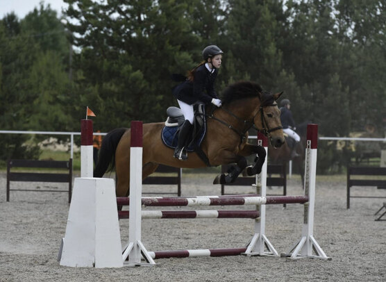Конные лошади. Яхнев василий иванович конный спорт. Конный клуб. Лошади конный спорт. Верховая езда.