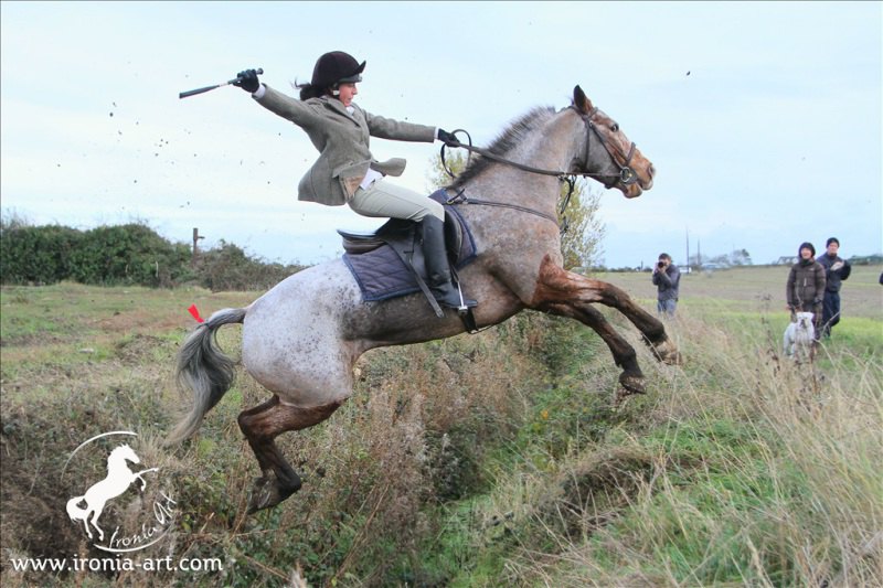 hunting in ireland