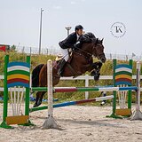 ЖЕРЕБЕЦ НА МАРШРУТЫ ДО 135 СМ