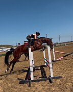 в конкур, троеборье 