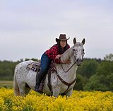 Чубарая кобыла