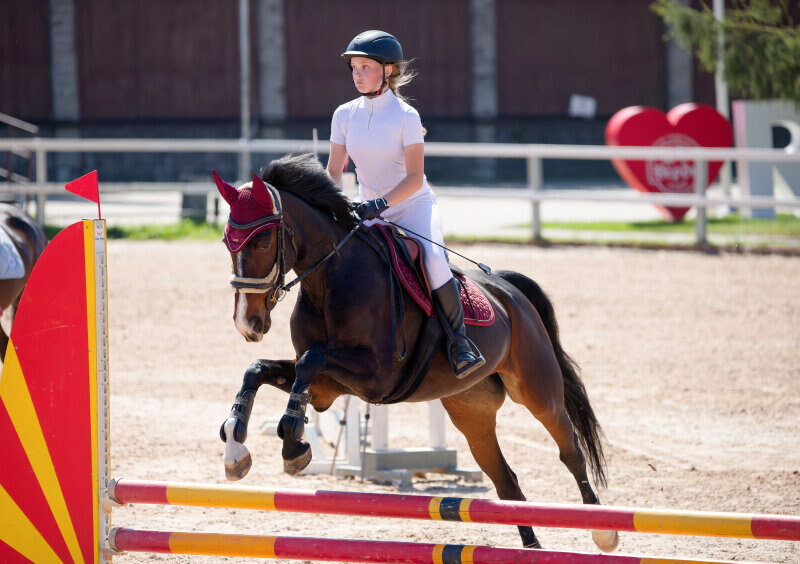 ОТМЕЛЬ и Пирогова Виктория
