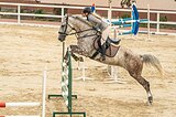 маршруты120см, шпринт150-160см