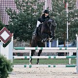 МЕРИН НА МАРШРУТЫ 135 СМ