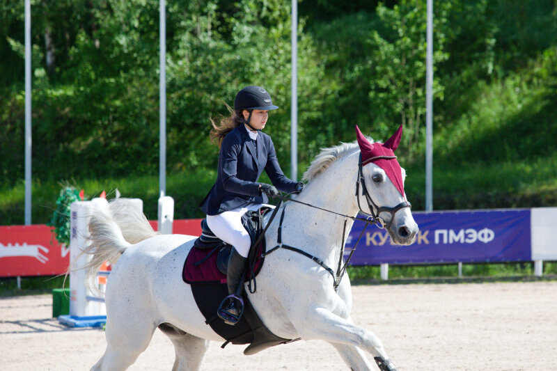 ГРЕЙ ХИЛЛ-12 и Федорова Анастасия