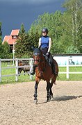 голштинка в спорт в/х169см