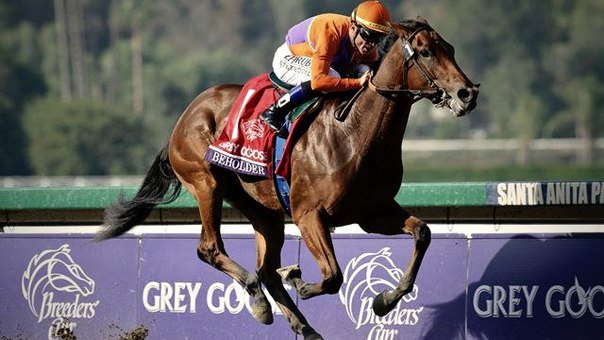 Ипподром Santa Anita Park 2013 год, скачка Breeders' Cup Distaff