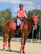 Универсальный учитель 2011 г.