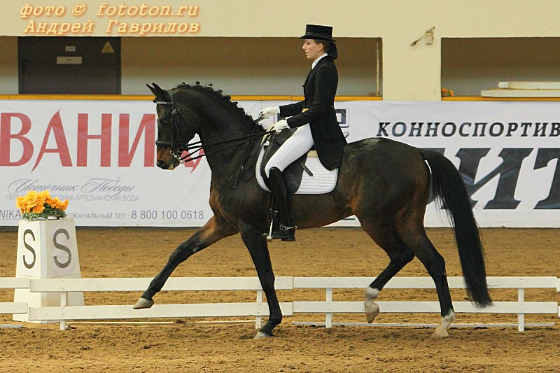 Чемпионат Москвы по выездке 2011