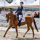 РЫЖИЙ МЕРИН В ТРОЕБОРЬЕ