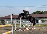 поникласс маршруты 100см