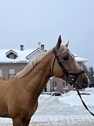 Под детей и любителей