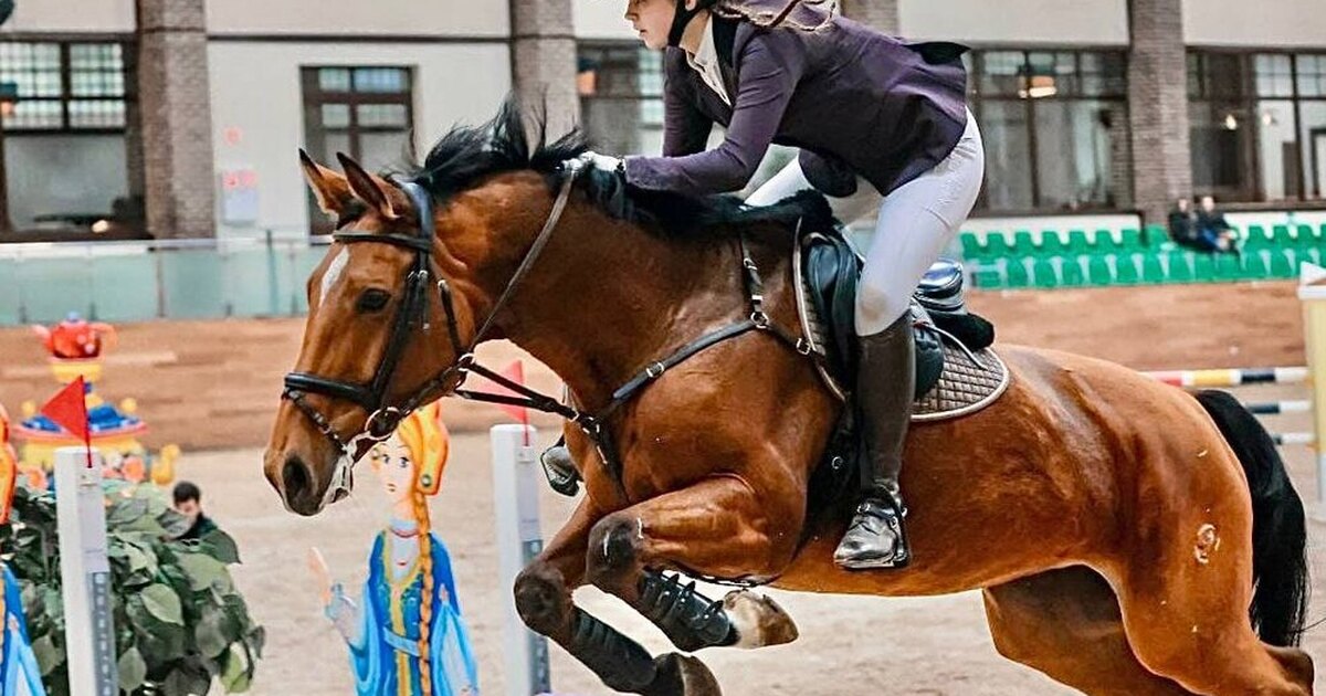 Конь в доме. Домой на коне. Конь в деревне. Плотва на крыше ведьмак. Казаки тихий дон.