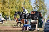 Кобыла