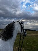Самурай
