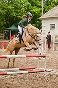 маршруты 100см включительно