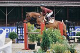 Конкур маршруты 130+ см