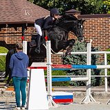 ЖЕРЕБЕЦ НА МАРШРУТЫ 120 СМ