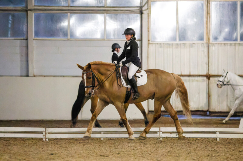 АМСТЕРДАМ-11 и Павлова Наталия