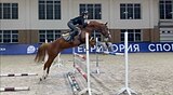 МЕРИН В КОНКУР • МАРШРУТЫ 95