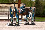 МАРШРУТЫ 90, ОДИНОЧНЫЕ 100 • Х